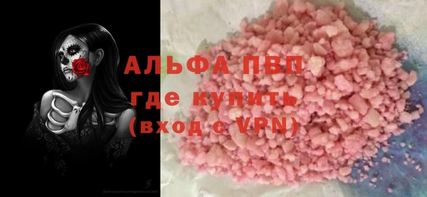 амф Корсаков