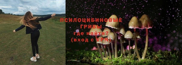 амф Корсаков