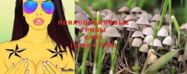 крисы Костерёво