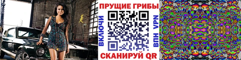 blacksprut   Курганинск  Псилоцибиновые грибы ЛСД  даркнет сайт 